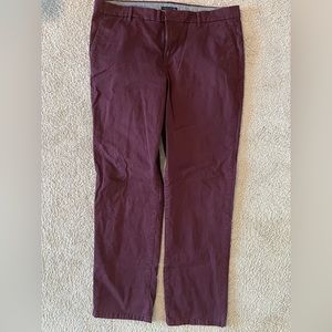Eggplant khaki pants